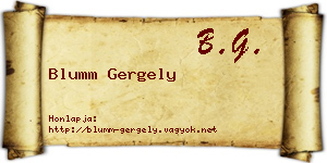 Blumm Gergely névjegykártya